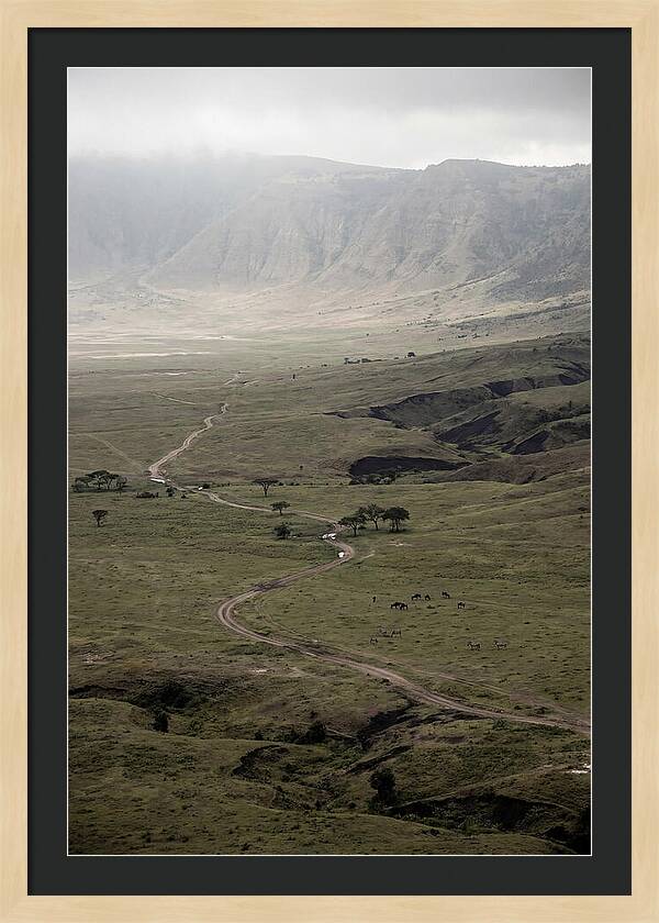Inside Ngorongoro Crater