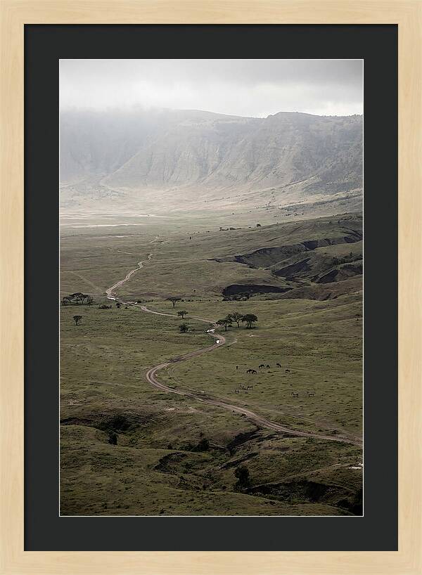 Inside Ngorongoro Crater