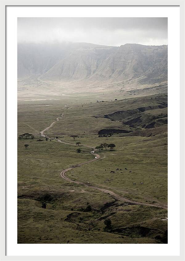 Inside Ngorongoro Crater