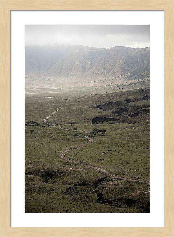 Inside Ngorongoro Crater