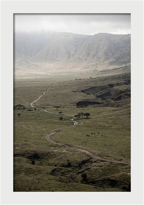 Inside Ngorongoro Crater