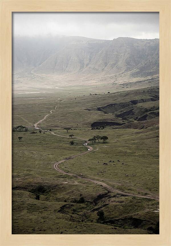 Inside Ngorongoro Crater