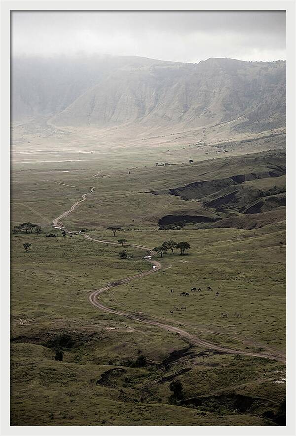 Inside Ngorongoro Crater