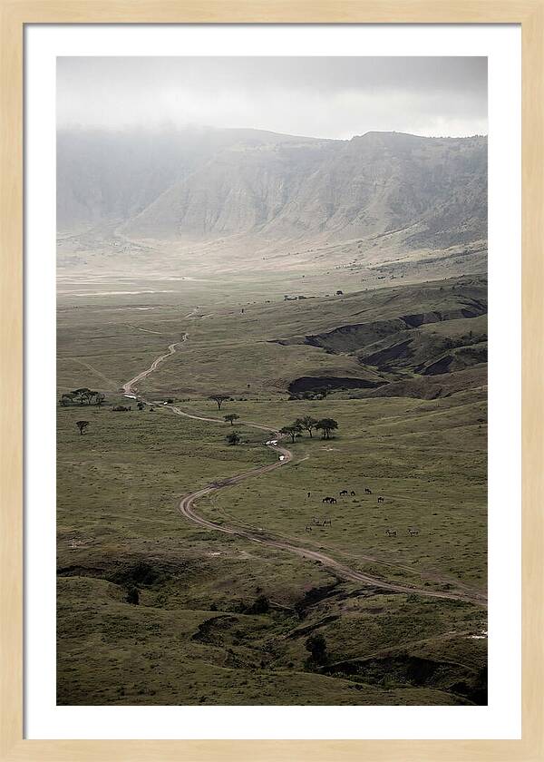 Inside Ngorongoro Crater