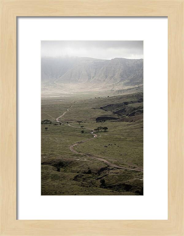 Inside Ngorongoro Crater