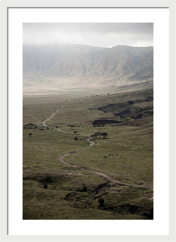 Inside Ngorongoro Crater