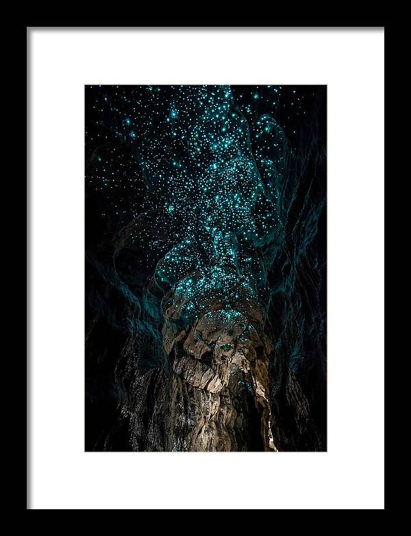 Inside The Glowworm Cave