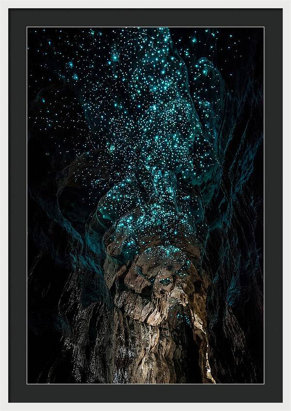 Inside The Glowworm Cave