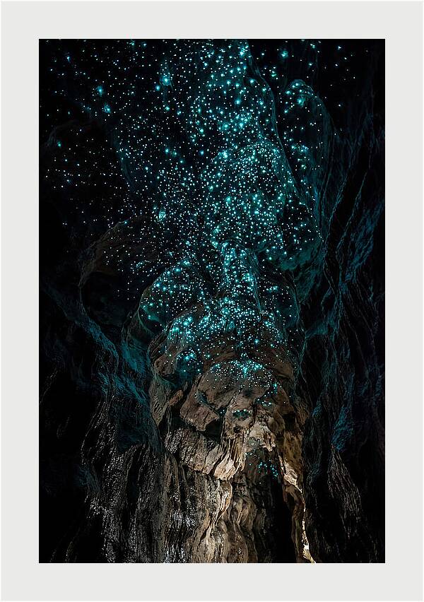 Inside The Glowworm Cave
