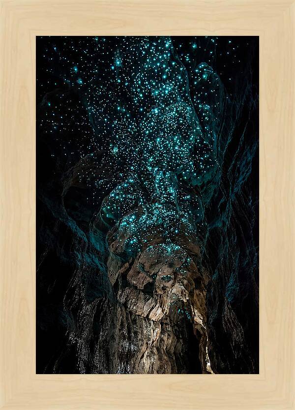 Inside The Glowworm Cave