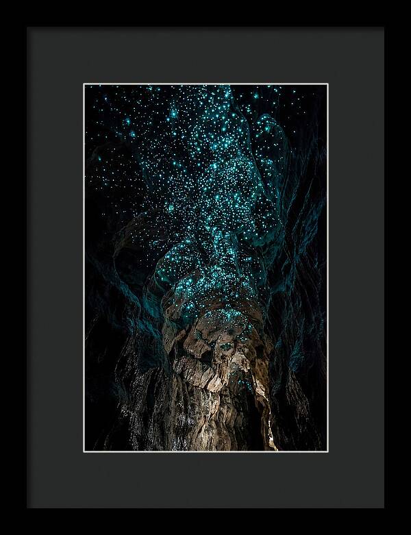 Inside The Glowworm Cave