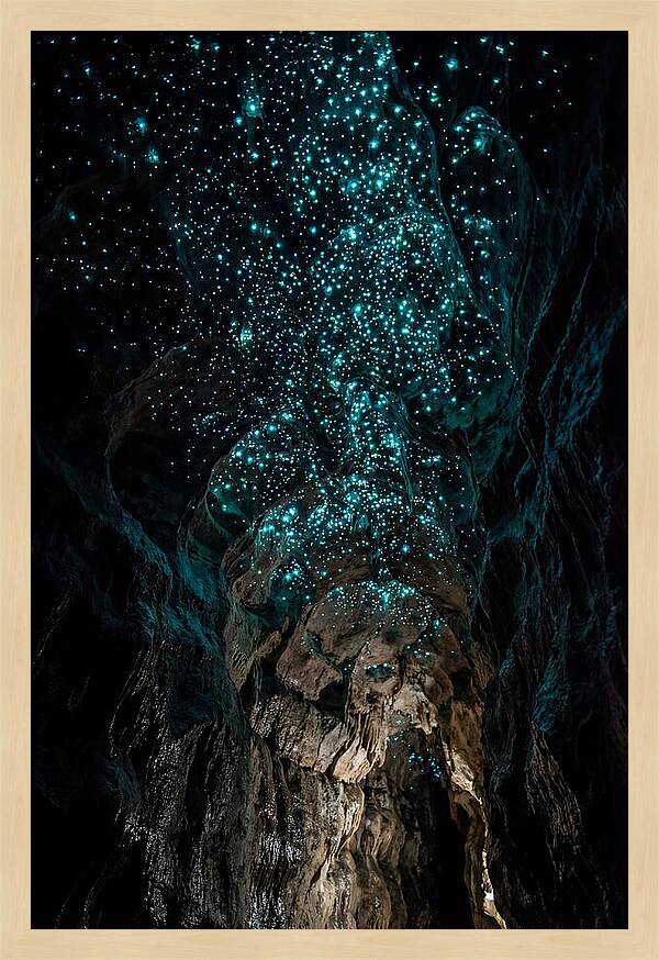 Inside The Glowworm Cave