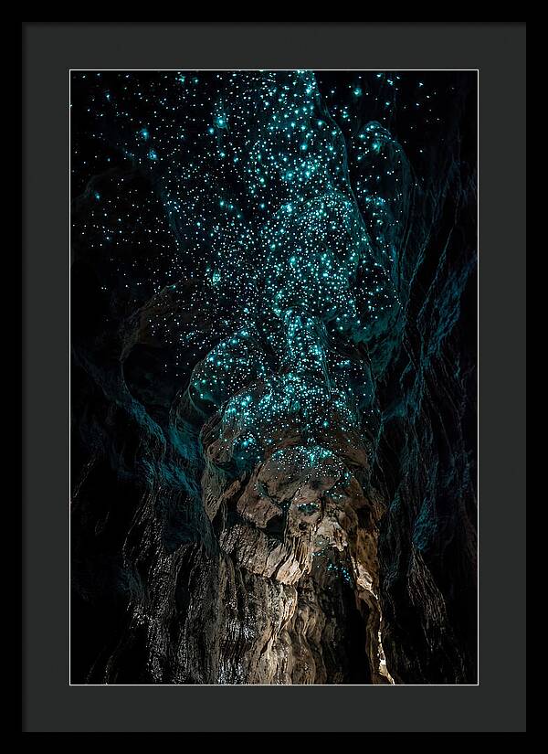 Inside The Glowworm Cave