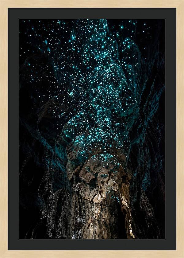 Inside The Glowworm Cave