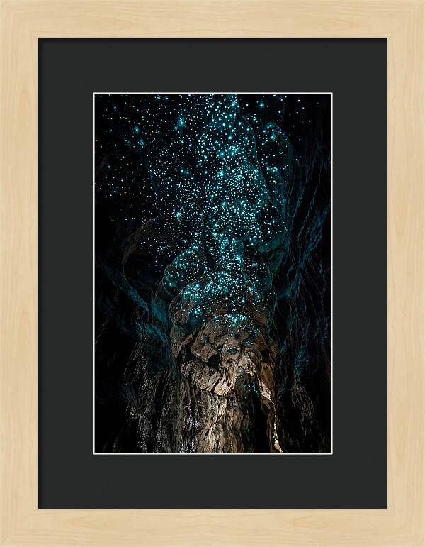 Inside The Glowworm Cave