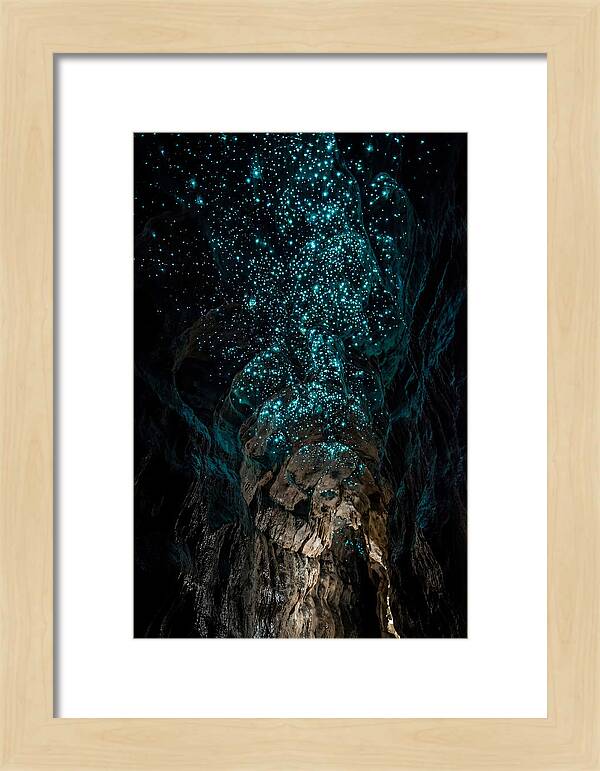 Inside The Glowworm Cave