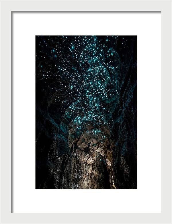 Inside The Glowworm Cave