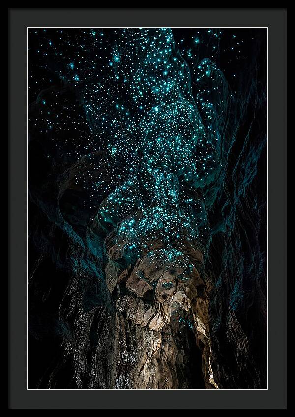 Inside The Glowworm Cave