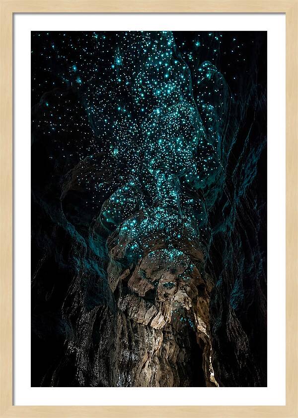 Inside The Glowworm Cave