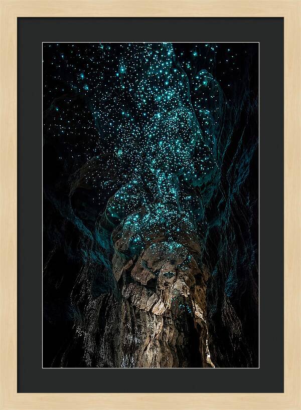 Inside The Glowworm Cave