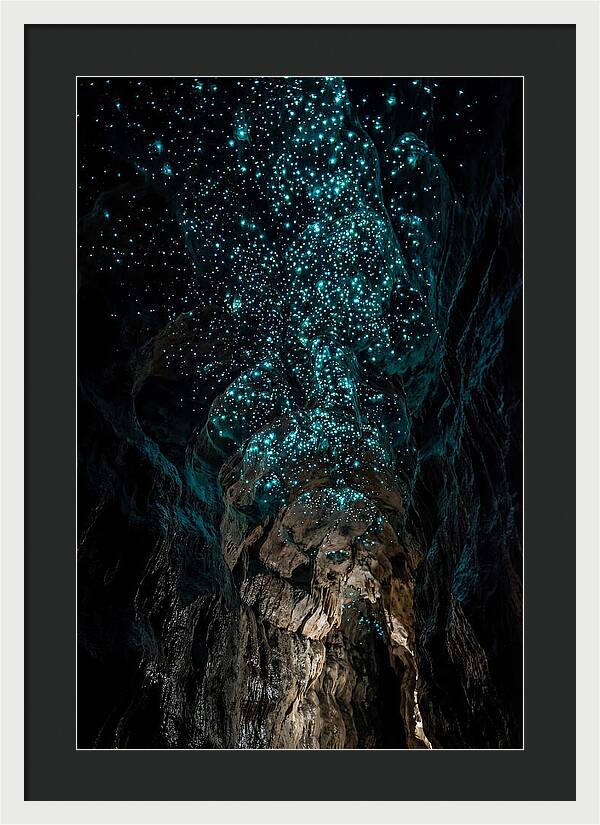 Inside The Glowworm Cave