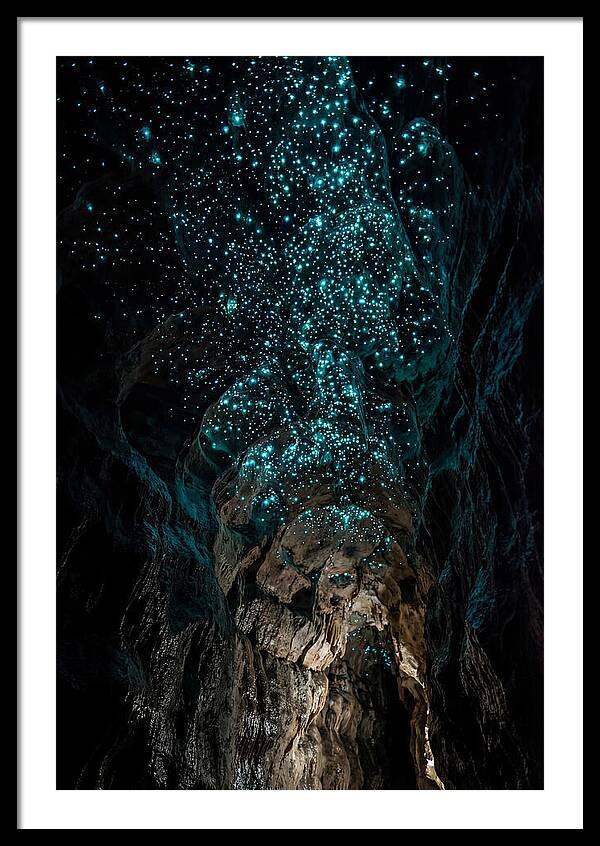 Inside The Glowworm Cave