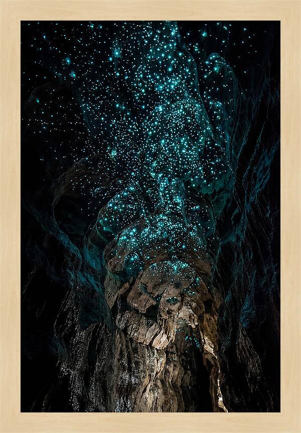 Inside The Glowworm Cave