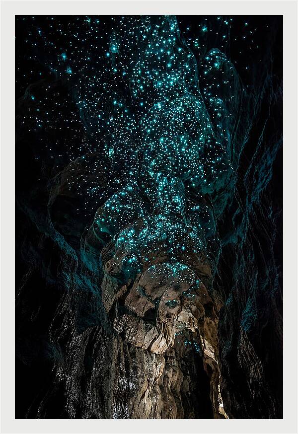 Inside The Glowworm Cave