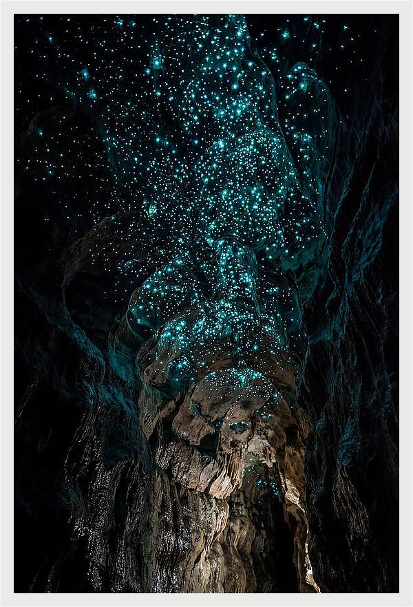 Inside The Glowworm Cave