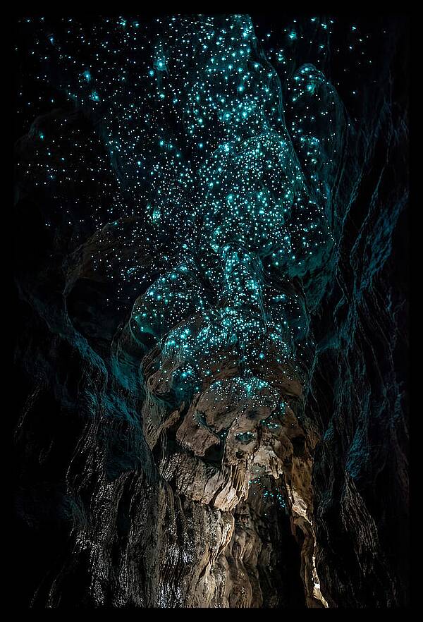 Inside The Glowworm Cave