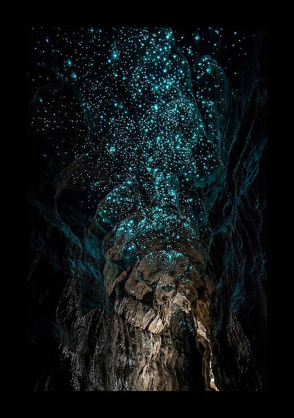 Inside The Glowworm Cave