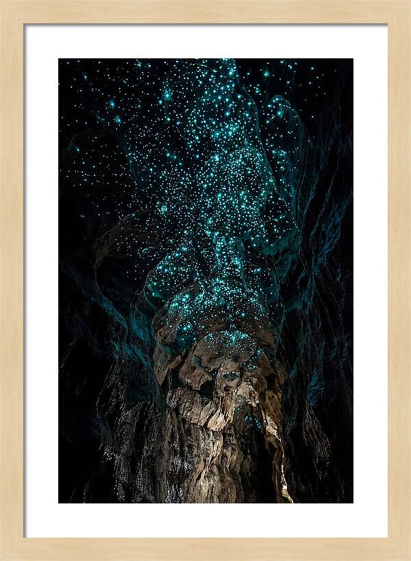 Inside The Glowworm Cave