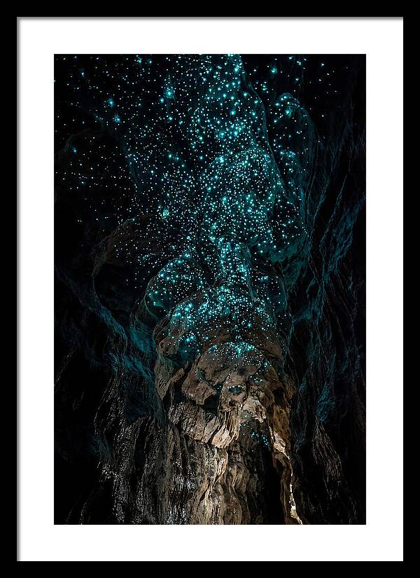 Inside The Glowworm Cave