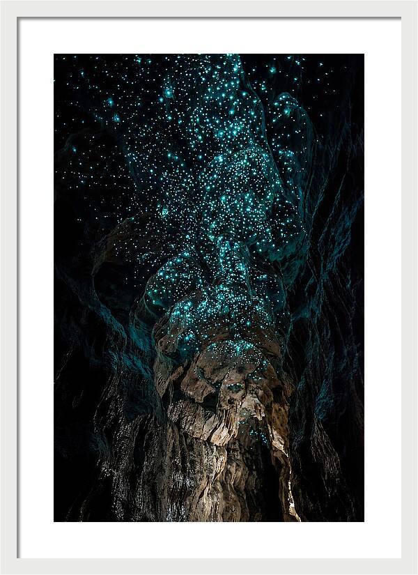 Inside The Glowworm Cave