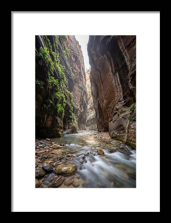 Inside The Zion Narrows
