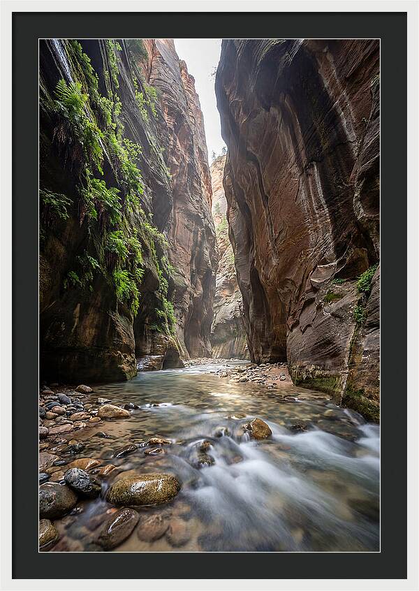 Inside The Zion Narrows