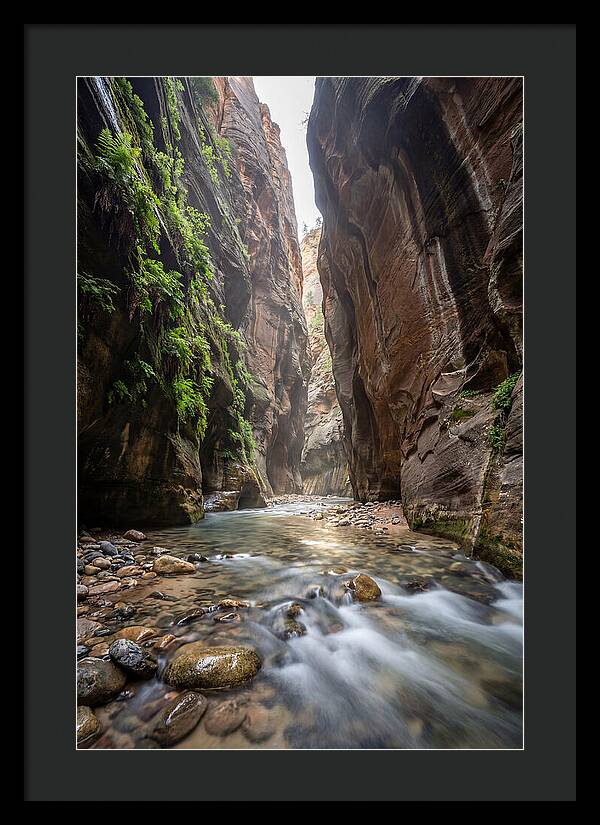 Inside The Zion Narrows