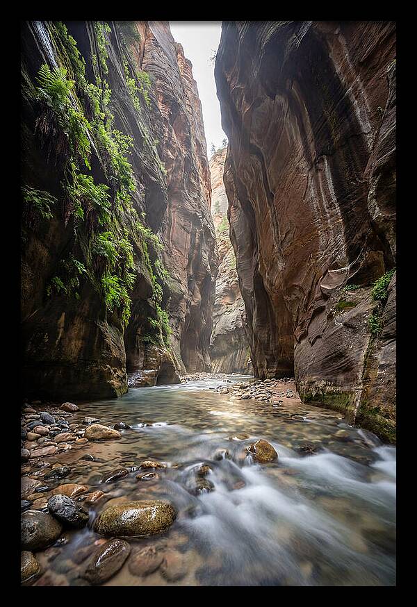 Inside The Zion Narrows