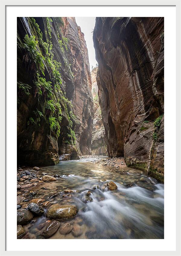 Inside The Zion Narrows