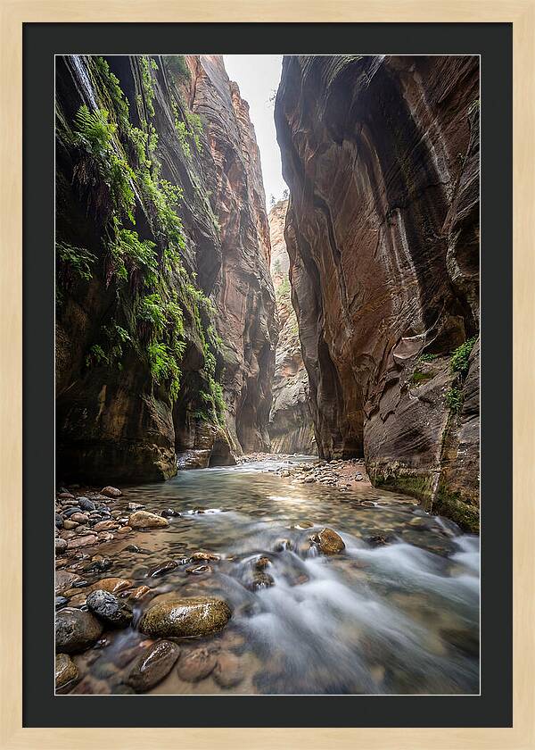 Inside The Zion Narrows