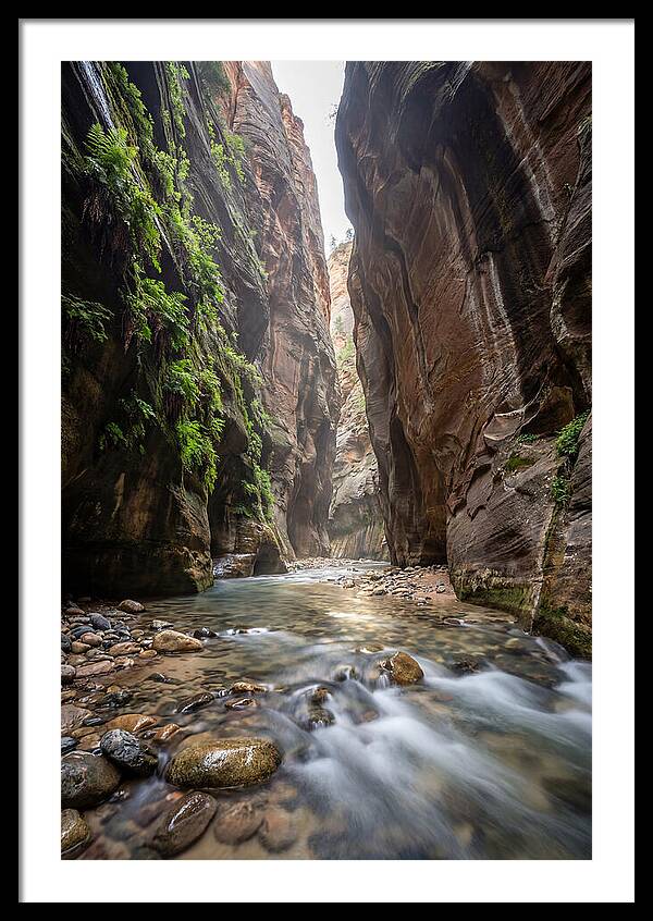 Inside The Zion Narrows