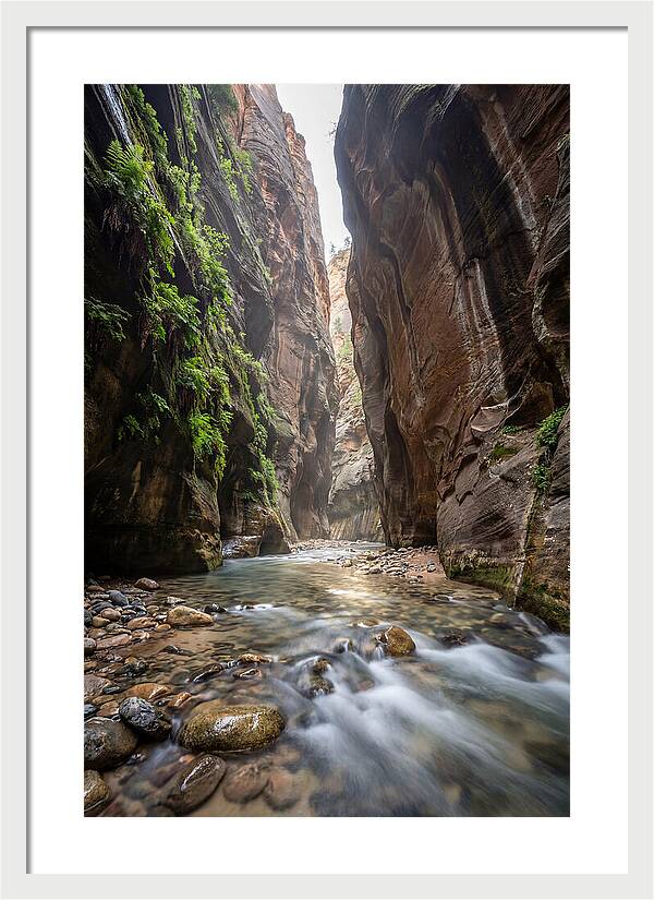 Inside The Zion Narrows