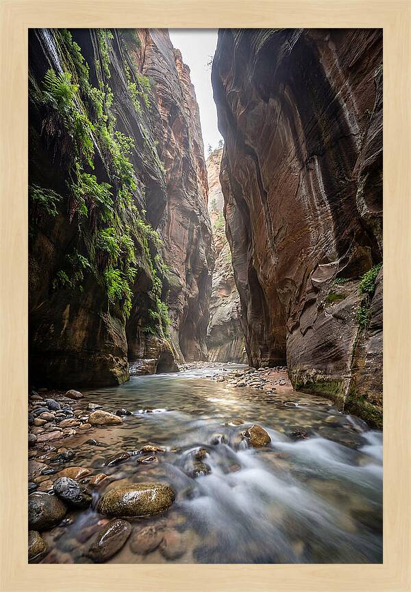 Inside The Zion Narrows