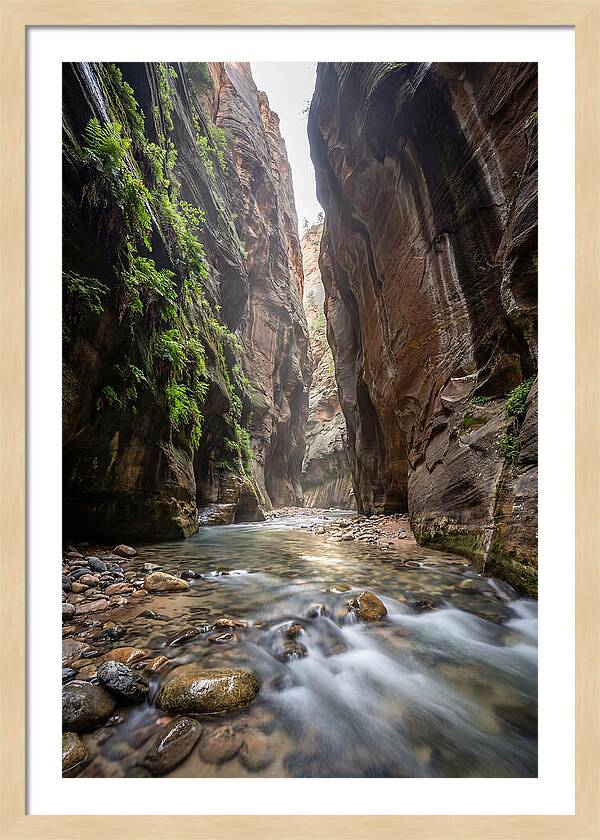 Inside The Zion Narrows