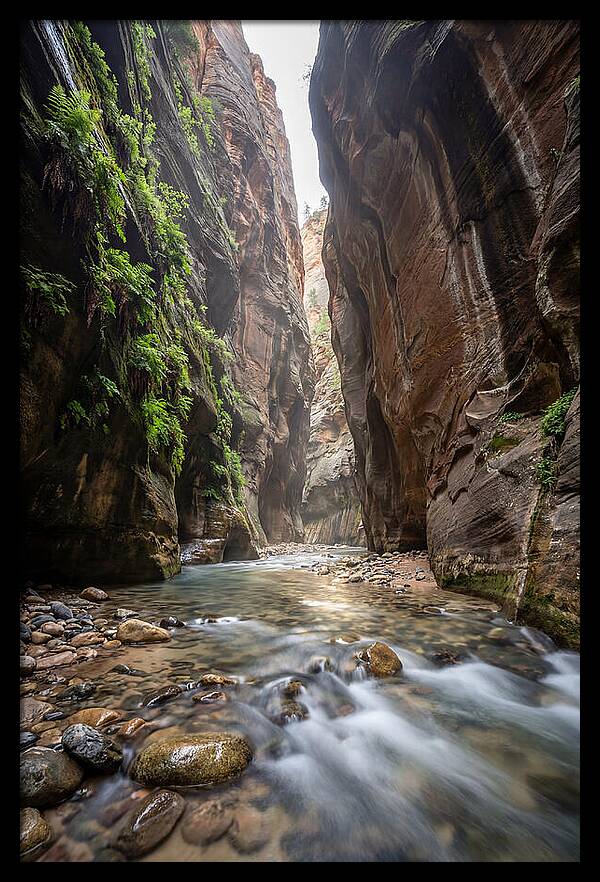 Inside The Zion Narrows