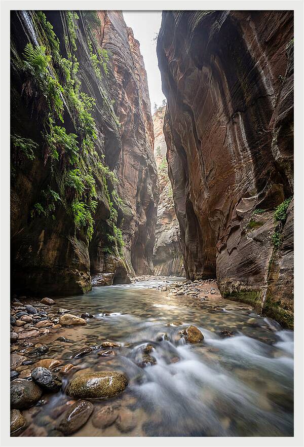Inside The Zion Narrows