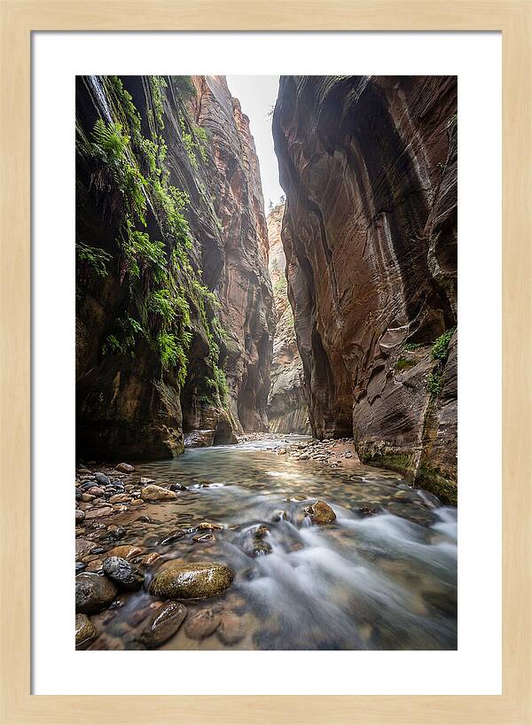 Inside The Zion Narrows