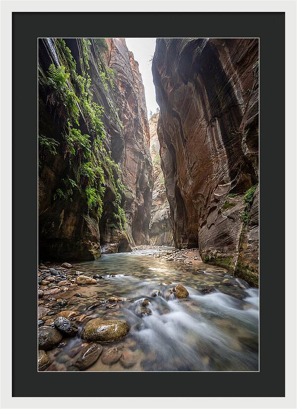 Inside The Zion Narrows