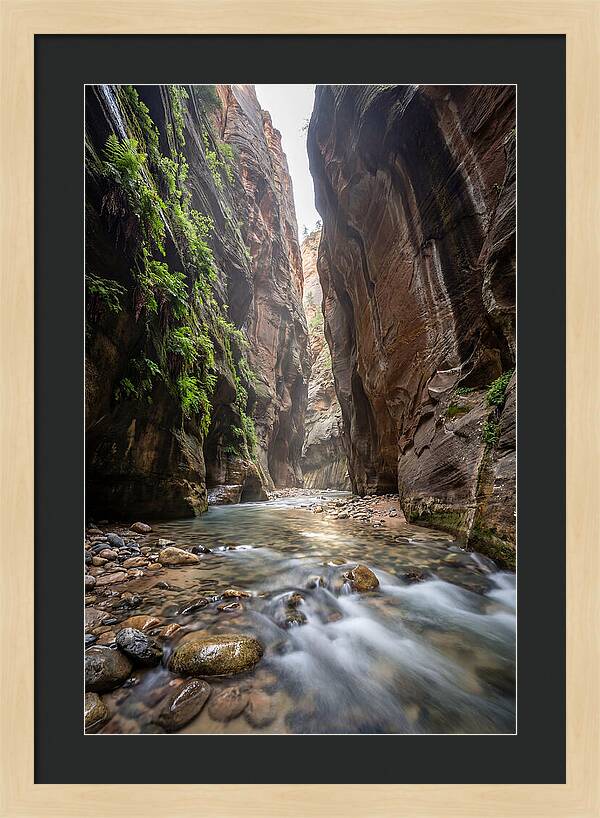 Inside The Zion Narrows