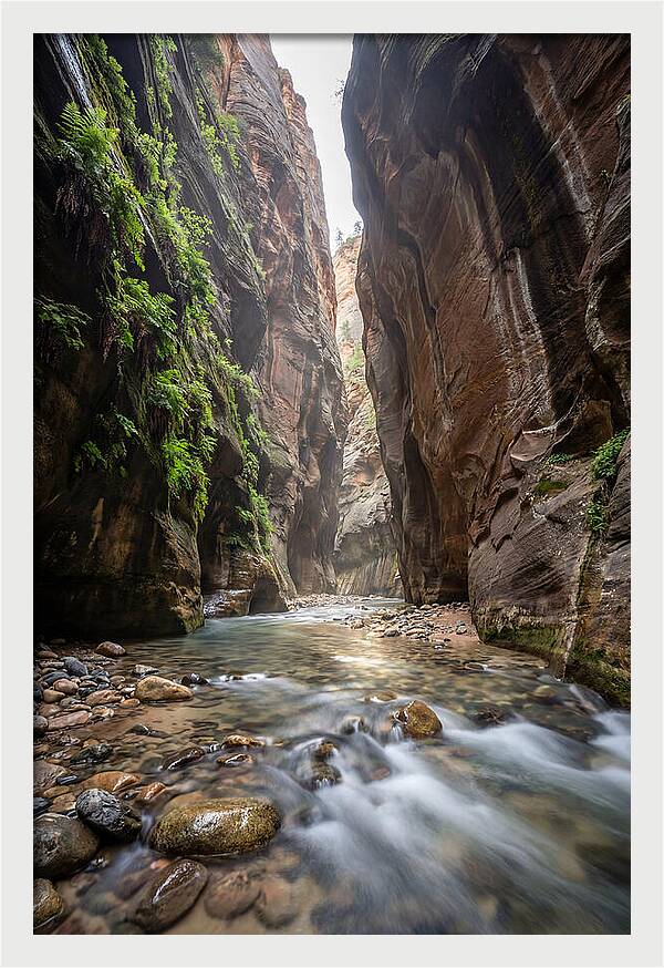 Inside The Zion Narrows